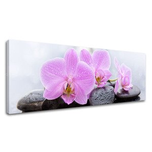 Obraz na plátně FENG SHUI_062-13