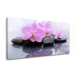 Obraz na plátně FENG SHUI_062-11