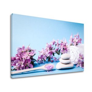 Obraz na plátně FENG SHUI_061-11
