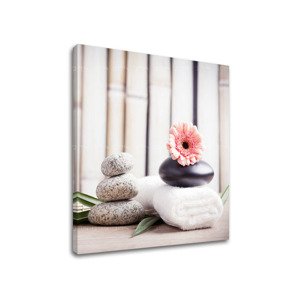 Obraz na plátně FENG SHUI_053-12