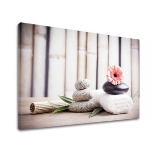 Obraz na plátně FENG SHUI_053-11