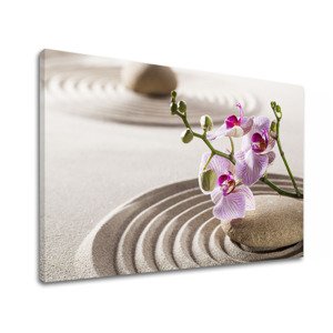 Obraz na plátně FENG SHUI_051-11
