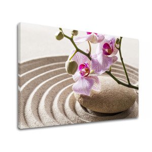 Obraz na plátně FENG SHUI_050-11