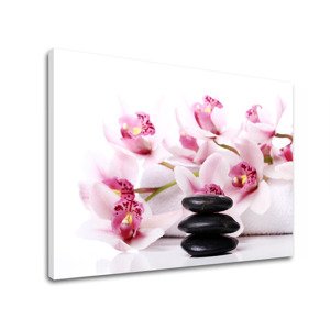 Obraz na plátně FENG SHUI_047-11