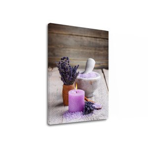 Obraz na plátně FENG SHUI_056-11