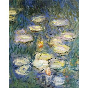 Obrazová reprodukce Water Lilies, Monet, Claude, 30 × 40 cm