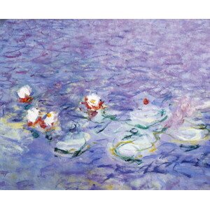 Obrazová reprodukce Water Lilies, Monet, Claude, 40 × 30 cm
