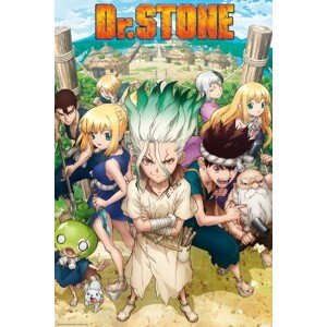 Plakát, Obraz - DR. Stone - Group, 61 × 91.5 cm