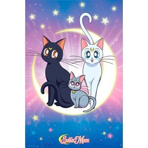 Plakát, Obraz - Sailor Moon - Luna, Artemis & Diana, 61 × 91.5 cm