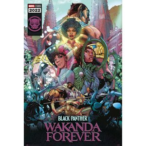 Plakát, Obraz - Black Panther: Wakanda Forever, 61 × 91.5 cm
