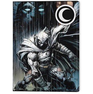 Obraz na plátně Moon Knight - The Moon God, 2 - 30×40 cm