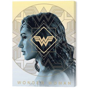 Obraz na plátně Wonder Woman 1984 - Amazonian Pride, 2 - 30×40 cm