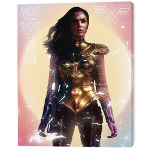 Obraz na plátně Wonder Woman 1984 - Tranquil Contemplation, 2 - 40×50 cm