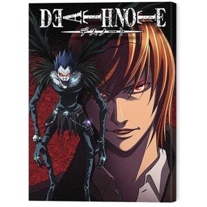 Obraz na plátně Death Note - Light and Ryuk, 2 - 60×80 cm