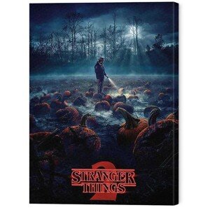Obraz na plátně Stranger Things - Pumpkin Patch, 2 - 60×80 cm
