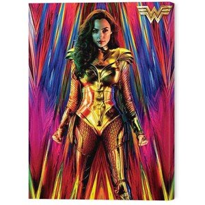 Obraz na plátně Wonder Woman 1984 - Neon Static, 2 - 60×80 cm
