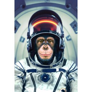 Fotografie AstroMonkey, Marcel Egger, 26.7 × 40 cm