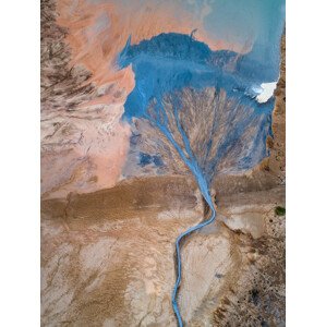 Fotografie The blue tree, Marc Pelissier, 30 × 40 cm