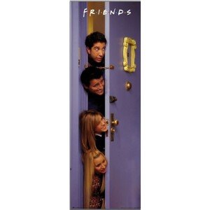 Plakát, Obraz - Friends - Door, 53 × 158 cm