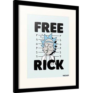 Obraz na zeď - Rick and Morty - Free Rick, 34.5 × 44.3 cm