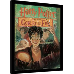 Obraz na zeď - Harry Potter - Ohnivý Pohár, 34.3 × 44.5 cm