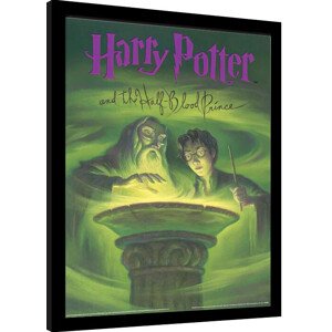 Obraz na zeď - Harry Potter - Princ Dvojí Krve, 34.3 × 44.5 cm
