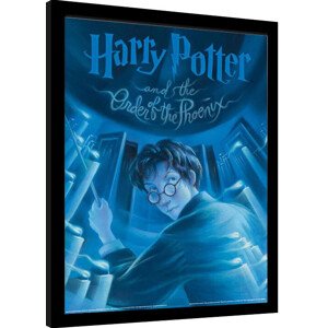 Obraz na zeď - Harry Potter - Fénixům Řád, 34.3 × 44.5 cm