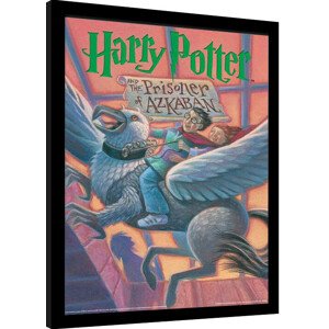 Obraz na zeď - Harry Potter - Vězeň z Azkabanu, 34.3 × 44.5 cm