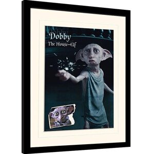 Obraz na zeď - Harry Potter - Dobby, 30 × 40 cm