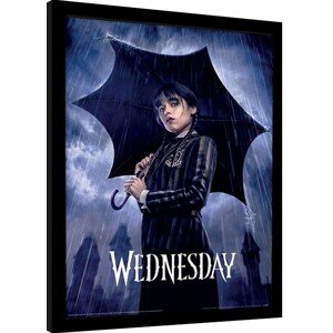 Obraz na zeď - Wednesday - Downpour, 34.3 × 44.5 cm