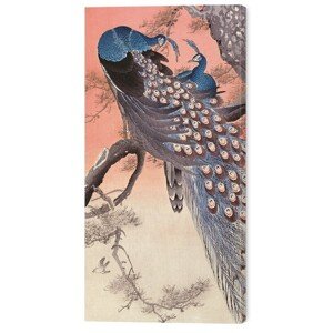 Obraz na plátně Ohara Koson - Two Peacocks on Tree Branch, 2 - 30×60 cm