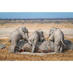 Fotografie Three Guys, Marcel Egger, 40 × 26.7 cm
