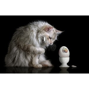 Fotografie Hello World, Marcel Egger, 40 × 26.7 cm