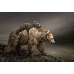 Fotografie BabyBear, Marcel Egger, 40 × 26.7 cm