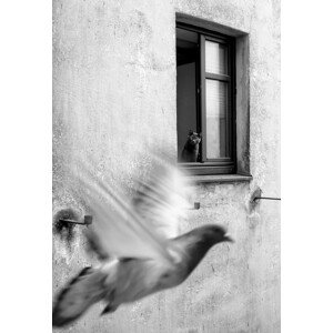 Fotografie Mission impossible II, Alex Lo, 26.7 × 40 cm