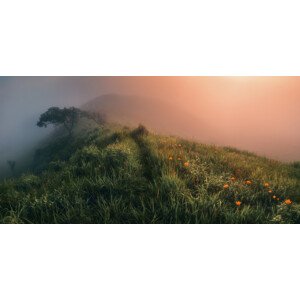 Fotografie The Story of the Foggy Morning, Krovlin Andrey, 40 × 20 cm
