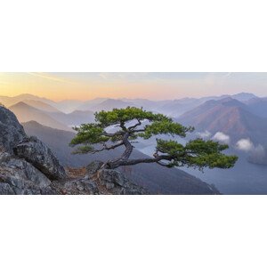 Fotografie When the Day Breaks, Jaeyoun Ryu, 50 × 23 cm