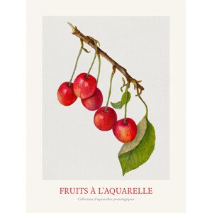 Obrazová reprodukce Cherries (Watercolour Kitchen Fruit), 30 × 40 cm