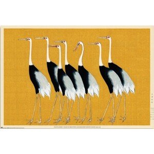 Plakát, Obraz - Ogata Korin - Flock of Beatiful Japanese Red Crown Crane, 91.5 × 61 cm