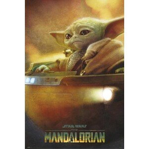 Plakát, Obraz - Star Wars: The Mandalorian - Grogu Pod, 61 × 91.5 cm