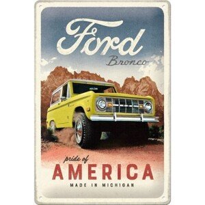 Plechová cedule Ford - Bronco - Pride of America, 20 × 30 cm