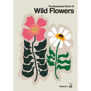 Ilustrace The Illustrated Book Of Wild Flowers Vol.2 Grey, Frances Collett, 30 × 40 cm