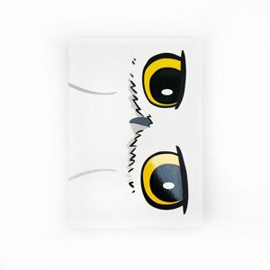 Zápisník Harry Potter - Hedwig, A5