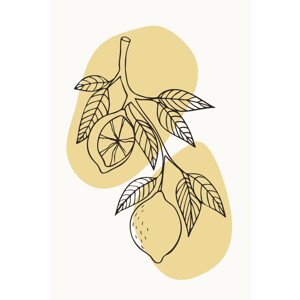 Ilustrace Boho Fruits #2, jay stanley, 26.7 × 40 cm
