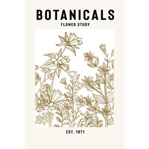 Ilustrace Botanicals Flower Study Ii, jay stanley, 26.7 × 40 cm