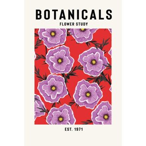 Ilustrace Botanicals Flower Study, jay stanley, 26.7 × 40 cm