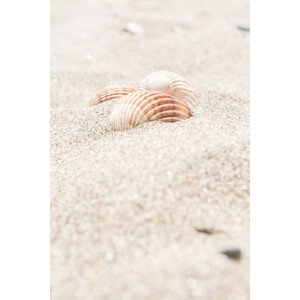 Fotografie Beach_014, Studio III, 26.7 × 40 cm