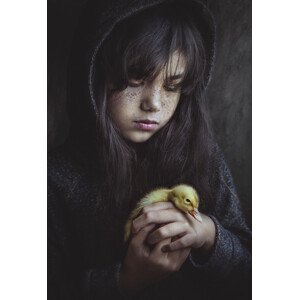 Fotografie True friend stays, Sebastian Kisworo, 26.7 × 40 cm