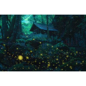 Fotografie Night in the shrine, Vu van quan, 40 × 26.7 cm