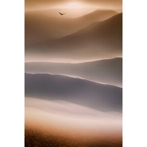Fotografie Sweet dream, Manu Allicot, 26.7 × 40 cm
